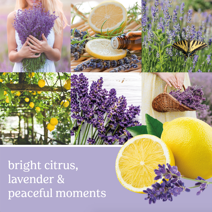 Lemon Lavender Fragrance Spheres