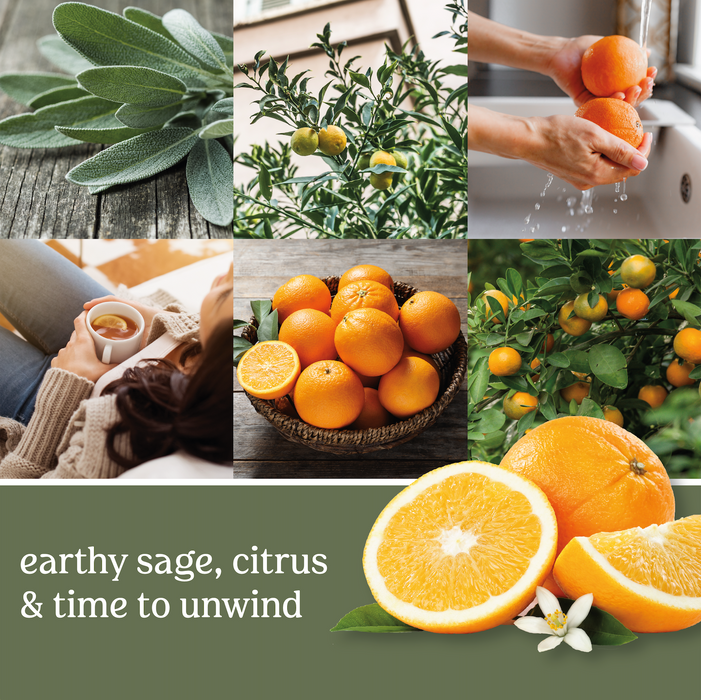 Sage & Citrus Room Spray Fragrance Dispenser Kit